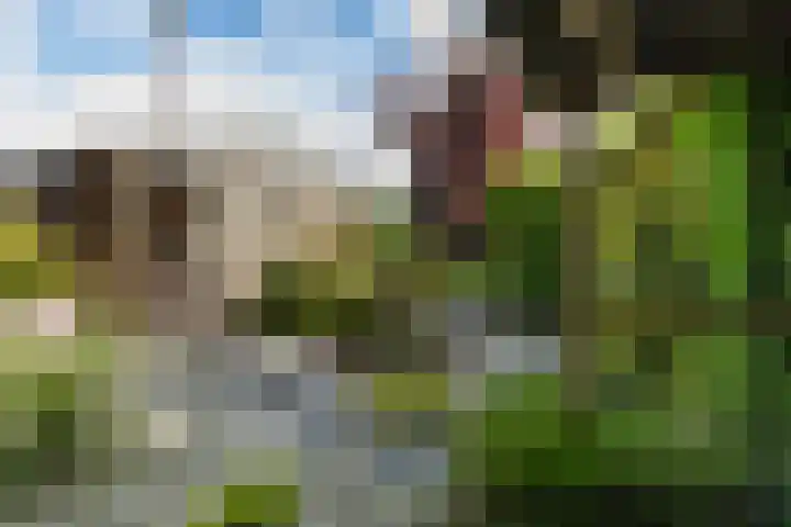 Aldlânsdyk 10 Stiens thumbnail 40