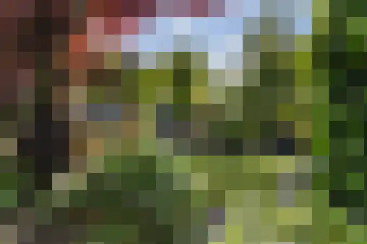 Aldlânsdyk 10 Stiens thumbnail 43