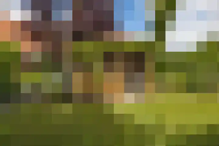 Aldlânsdyk 10 Stiens thumbnail 45