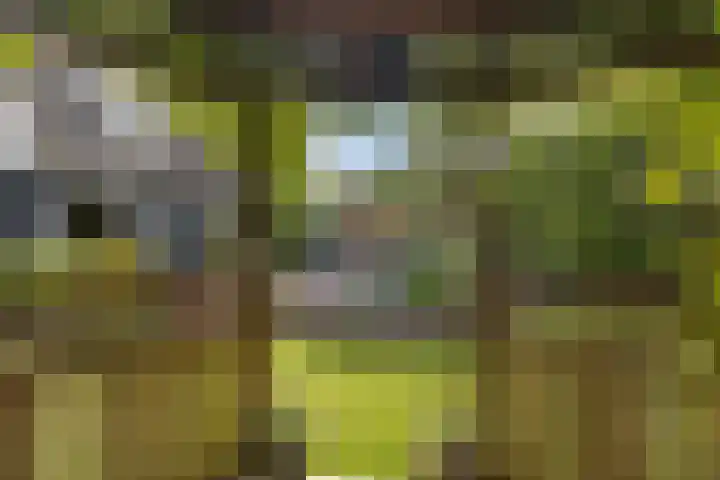 Aldlânsdyk 10 Stiens thumbnail 46