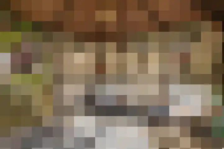 Aldlânsdyk 10 Stiens thumbnail 48