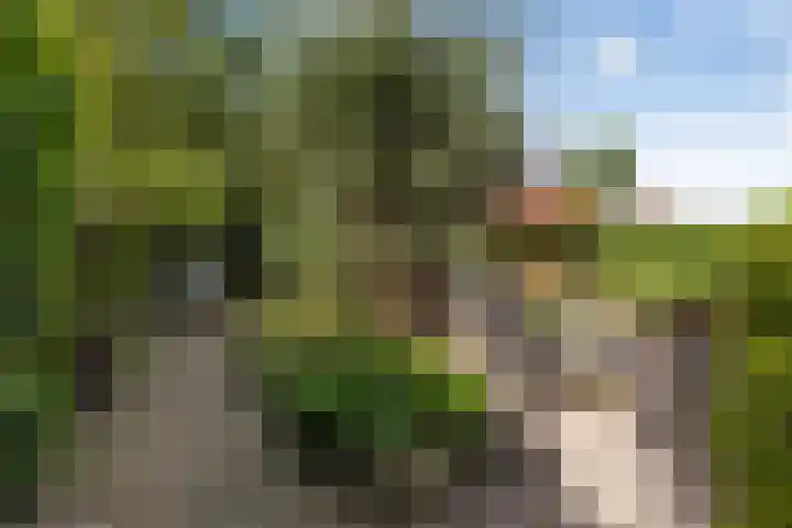 Aldlânsdyk 10 Stiens thumbnail 49