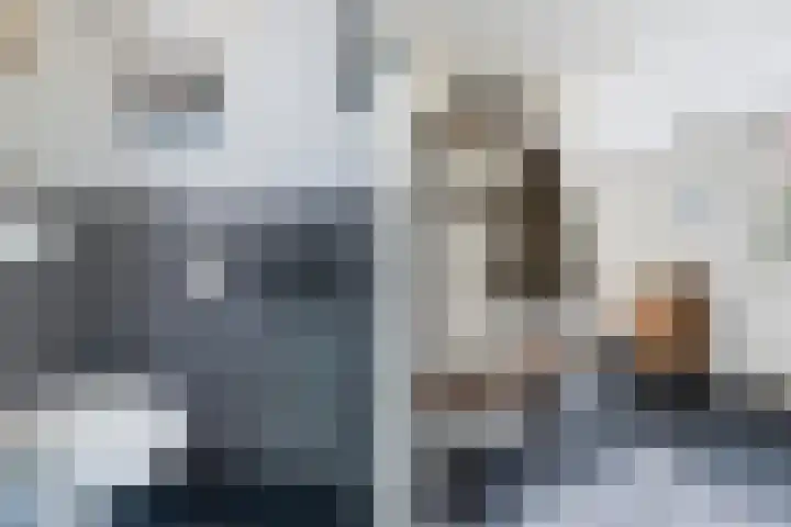 Aldlânsdyk 10 Stiens thumbnail 5