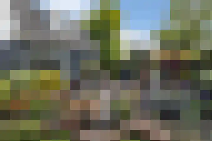 Aldlânsdyk 10 Stiens thumbnail 50