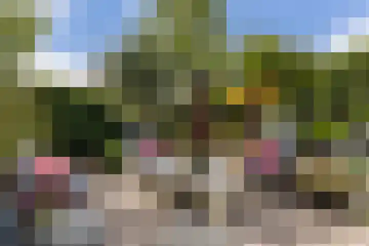 Aldlânsdyk 10 Stiens thumbnail 51