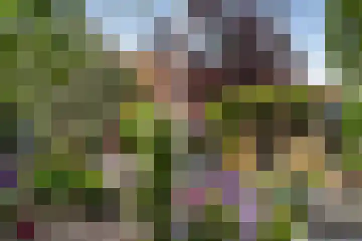 Aldlânsdyk 10 Stiens thumbnail 52