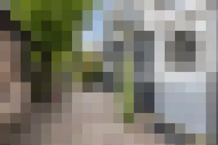 Aldlânsdyk 10 Stiens thumbnail 53