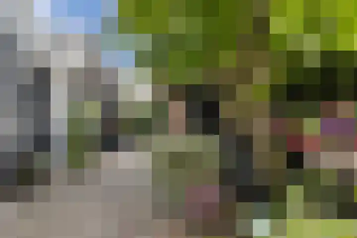 Aldlânsdyk 10 Stiens thumbnail 54