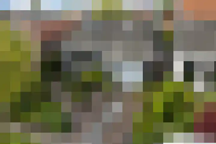 Aldlânsdyk 10 Stiens thumbnail 55