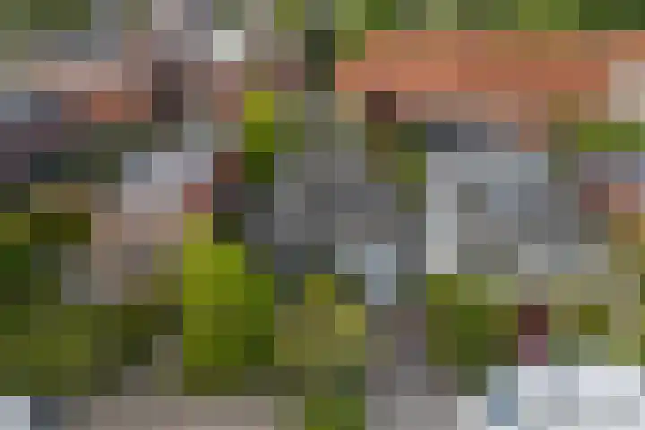 Aldlânsdyk 10 Stiens thumbnail 56