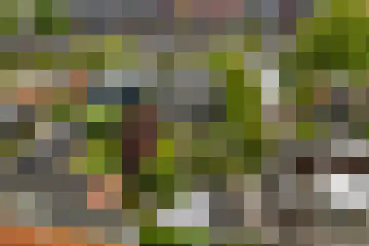 Aldlânsdyk 10 Stiens thumbnail 57