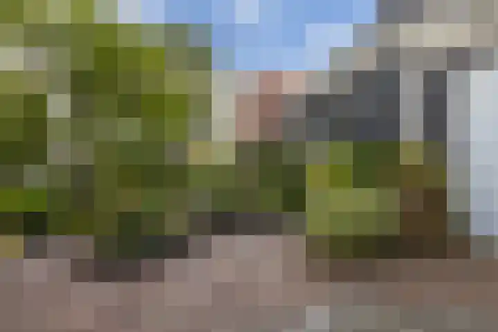 Aldlânsdyk 10 Stiens thumbnail 59