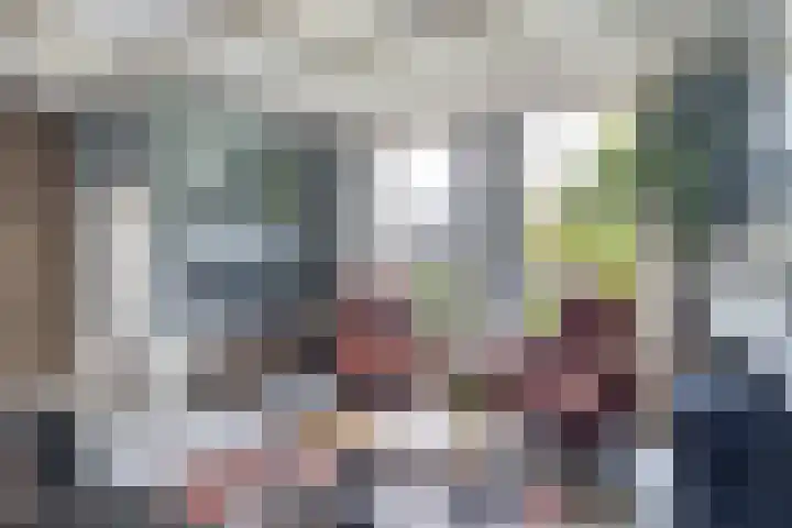 Aldlânsdyk 10 Stiens thumbnail 6