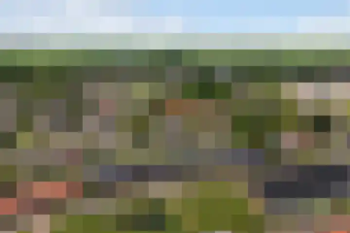 Aldlânsdyk 10 Stiens thumbnail 60