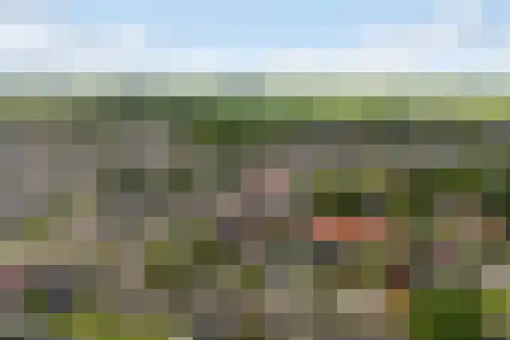 Aldlânsdyk 10 Stiens thumbnail 61