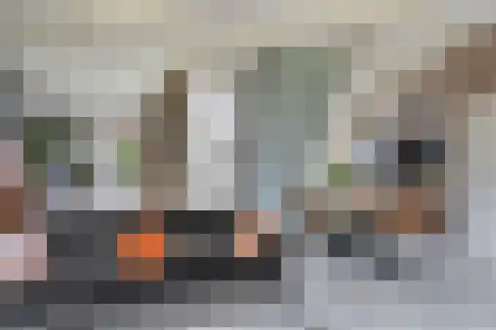 Aldlânsdyk 10 Stiens thumbnail 8