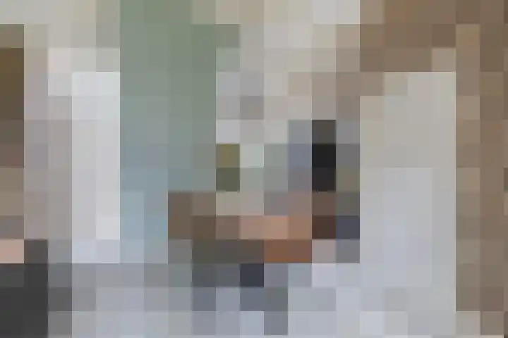 Aldlânsdyk 10 Stiens thumbnail 9