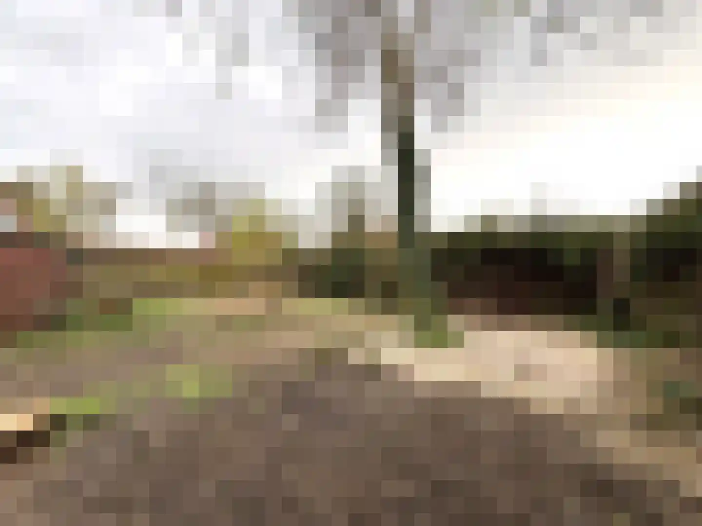 Aldlânsdyk 18 Britsum thumbnail 10