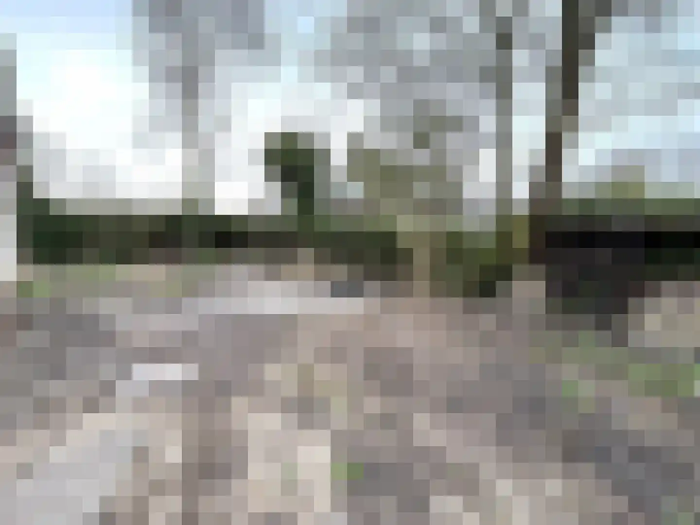 Aldlânsdyk 18 Britsum thumbnail 11