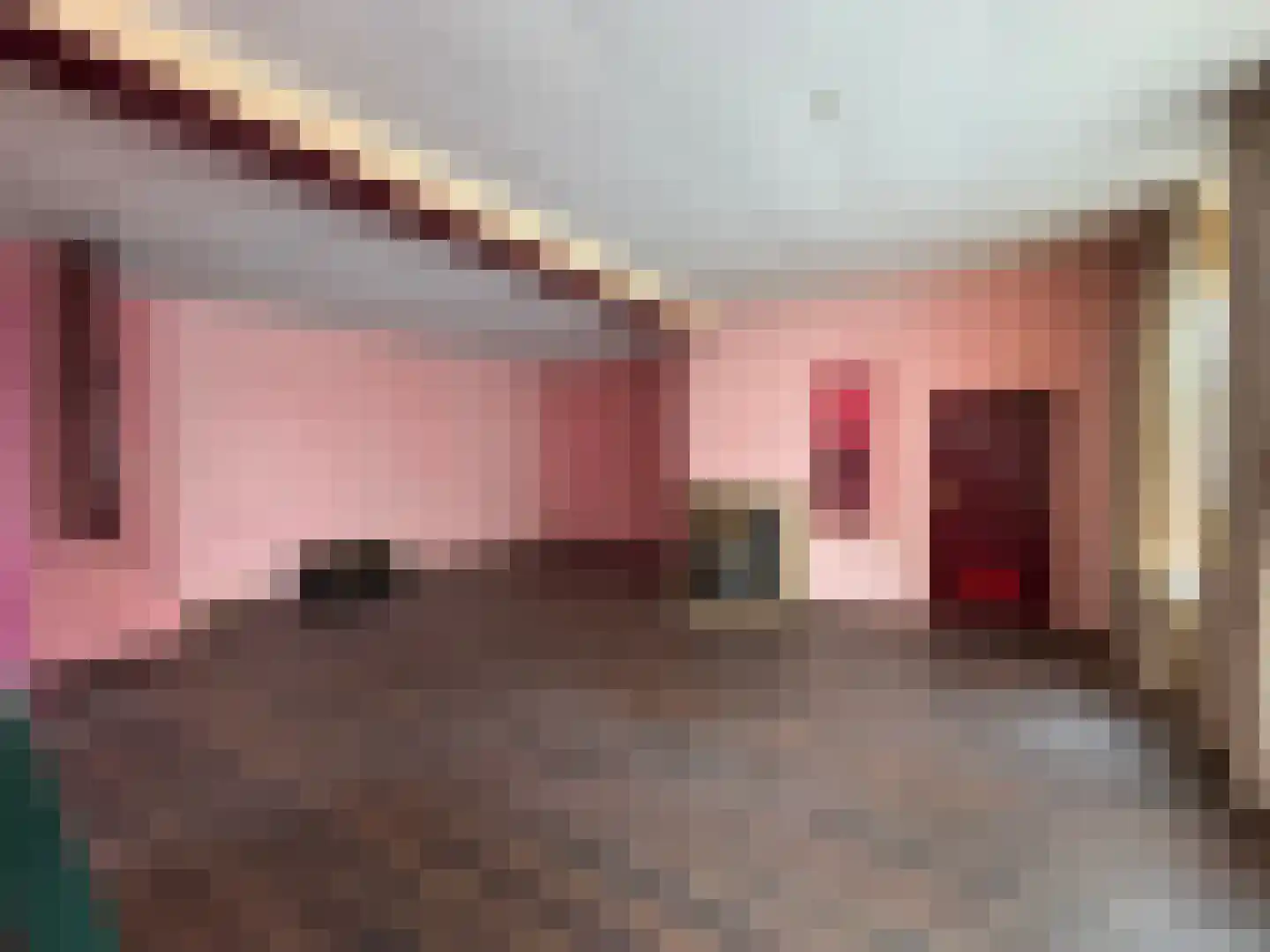 Aldlânsdyk 18 Britsum thumbnail 12