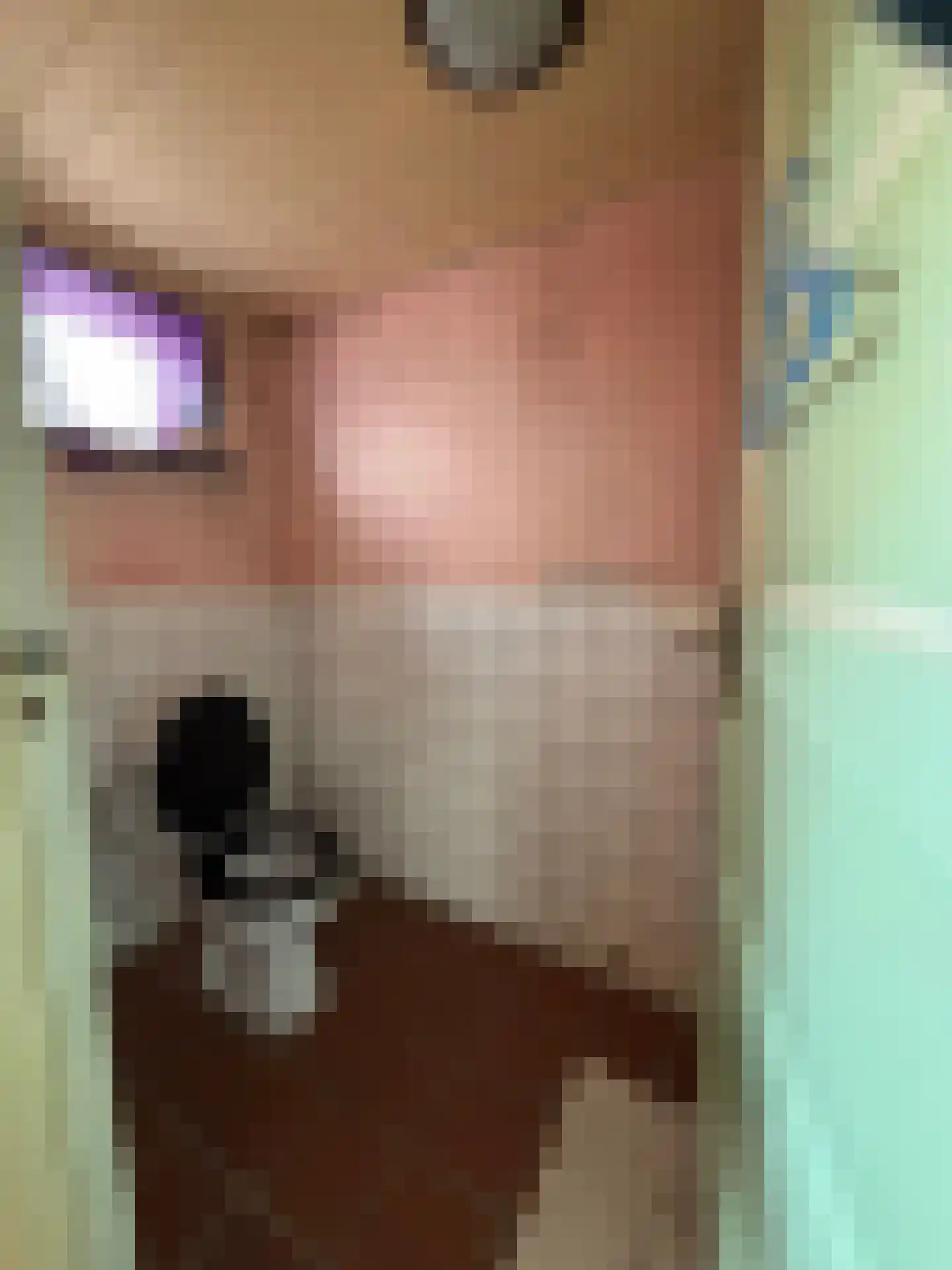 Aldlânsdyk 18 Britsum thumbnail 14