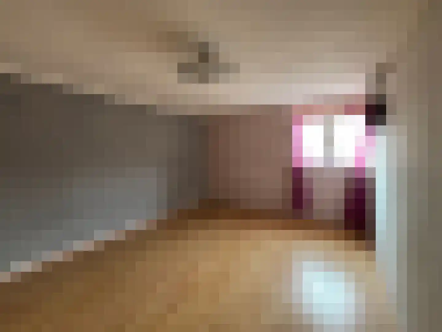 Aldlânsdyk 18 Britsum thumbnail 19