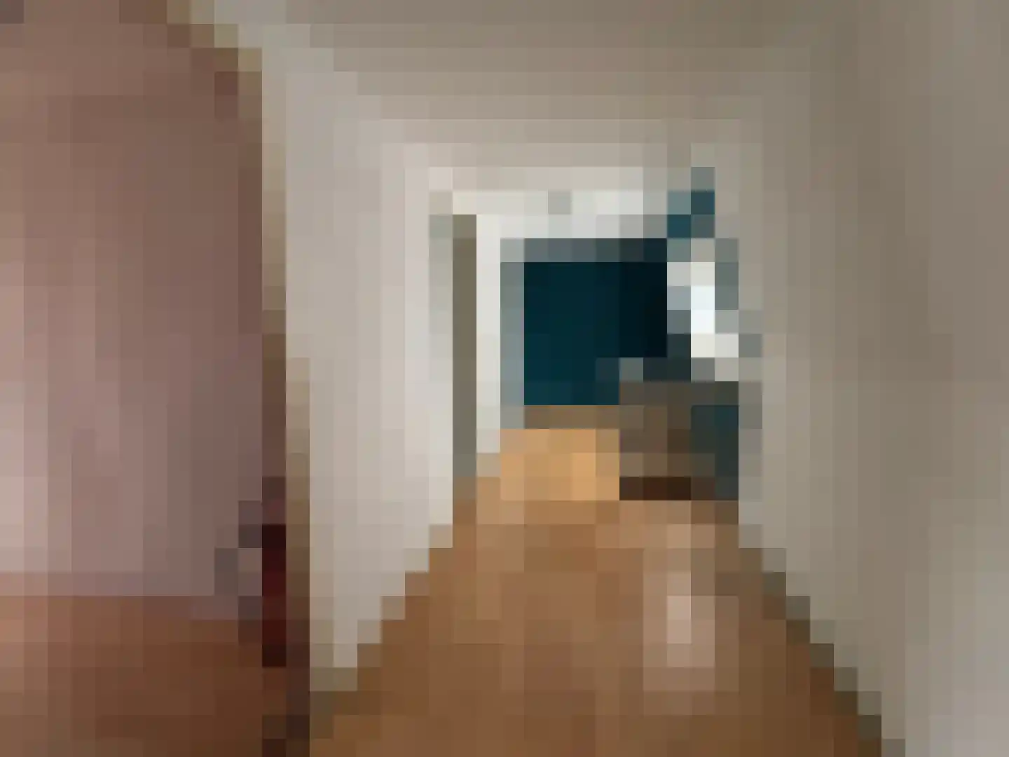 Aldlânsdyk 18 Britsum thumbnail 21