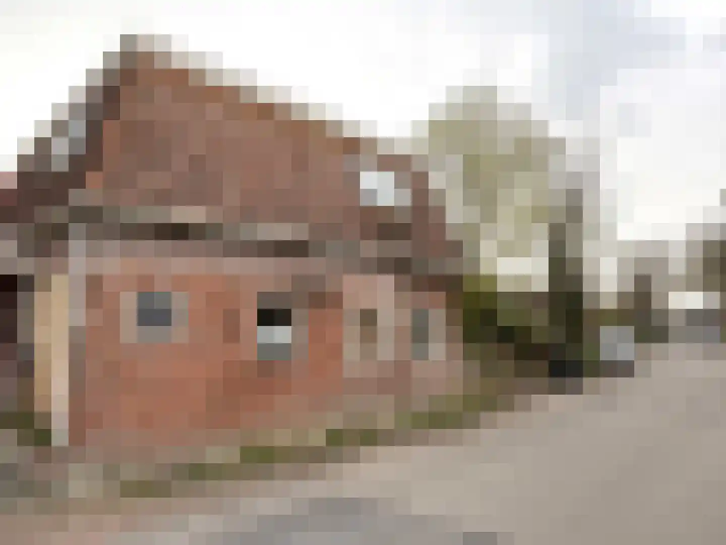 Aldlânsdyk 18 Britsum foto 3