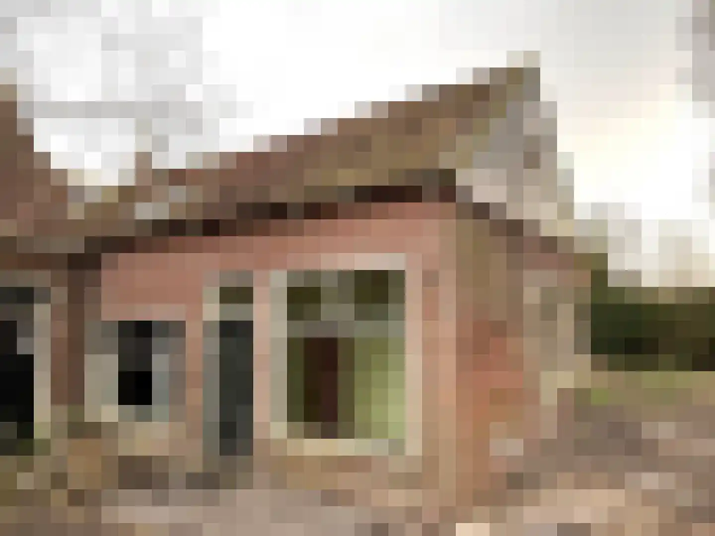 Aldlânsdyk 18 Britsum thumbnail 5