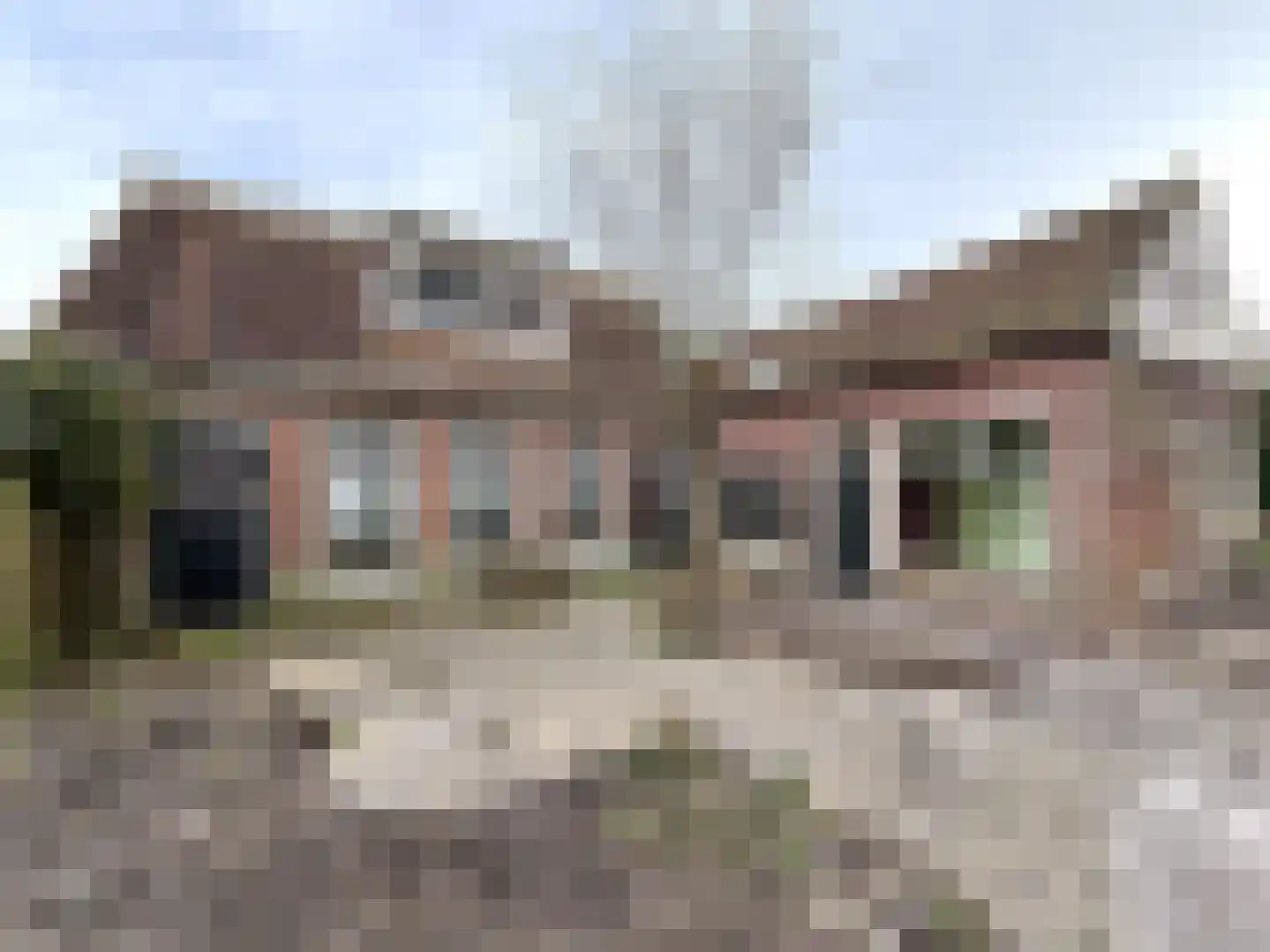 Aldlânsdyk 18 Britsum thumbnail 6