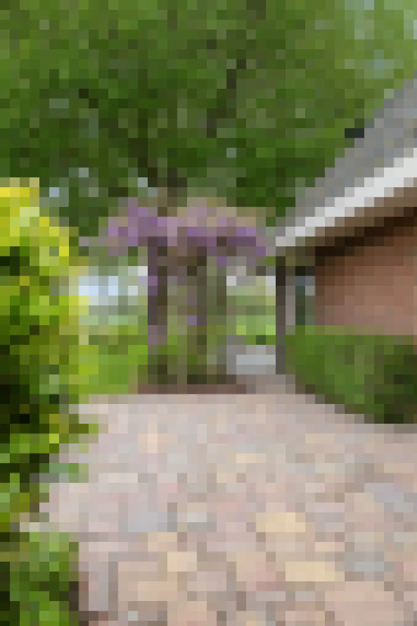 Aldlânsdyk 21 Jelsum thumbnail 11