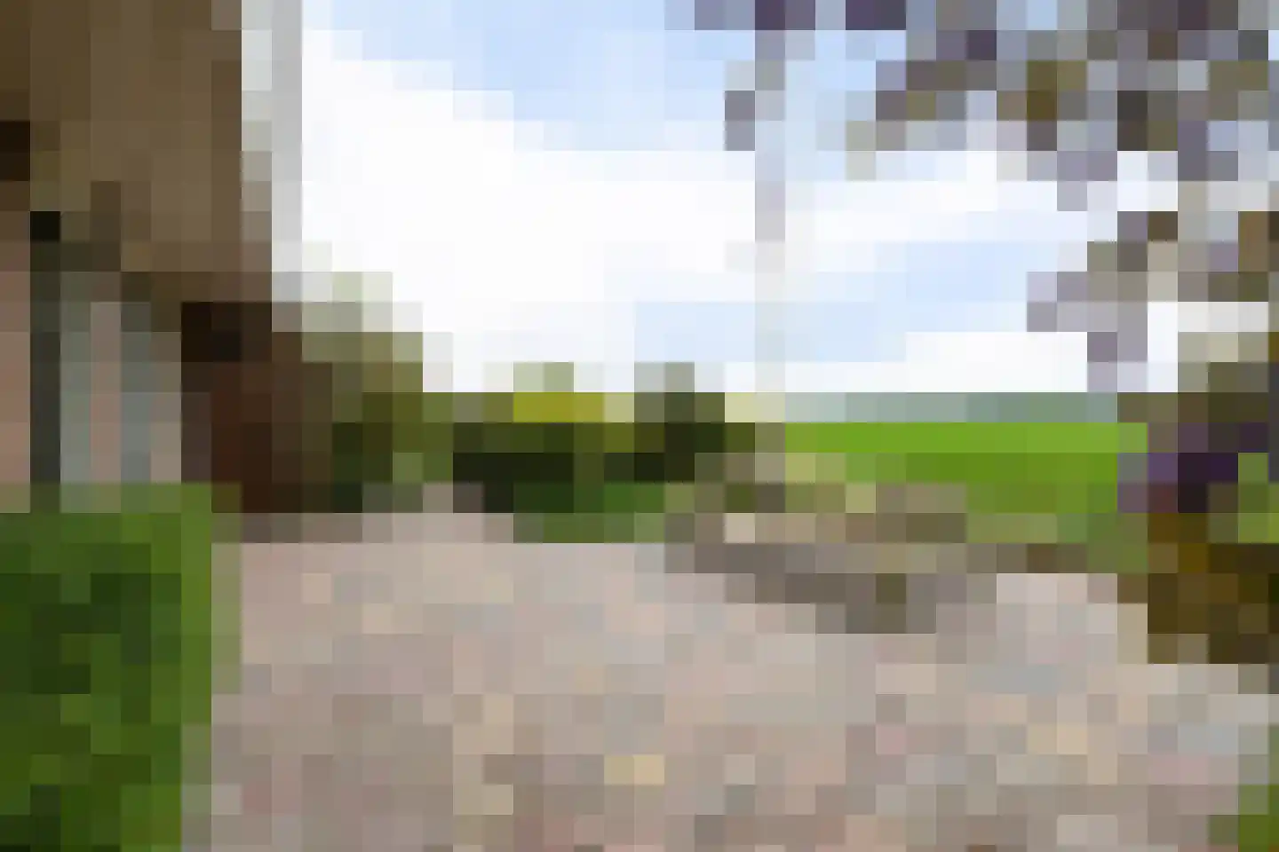 Aldlânsdyk 21 Jelsum thumbnail 12