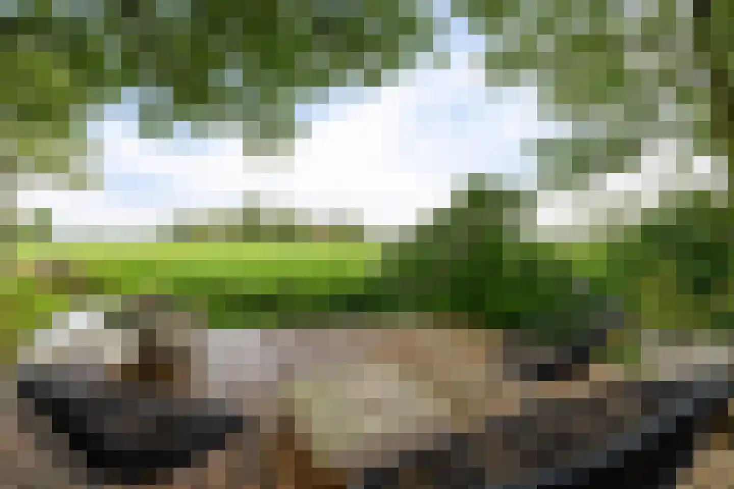 Aldlânsdyk 21 Jelsum thumbnail 13