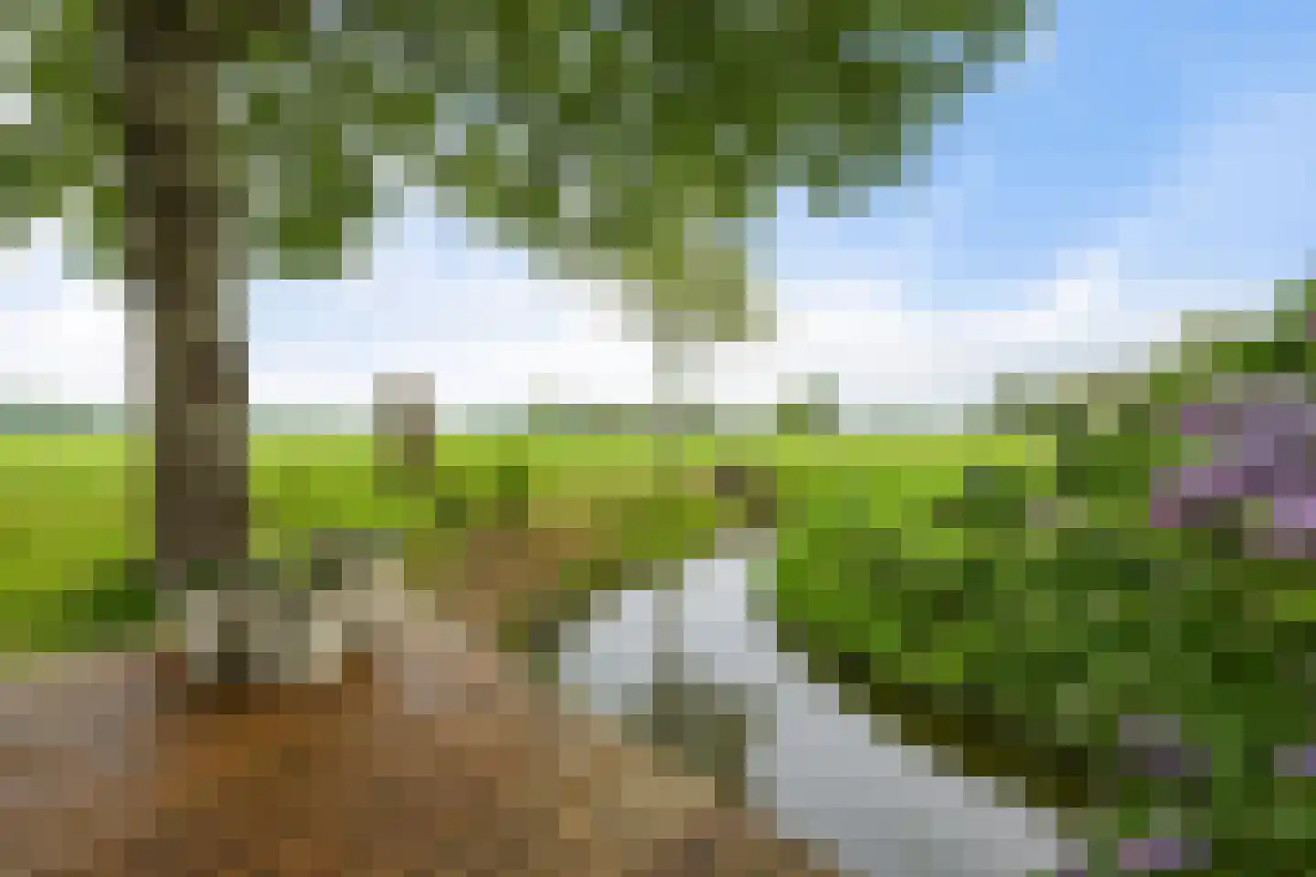 Aldlânsdyk 21 Jelsum thumbnail 14