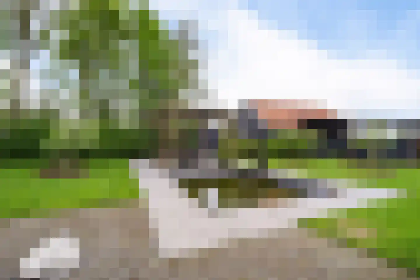 Aldlânsdyk 21 Jelsum thumbnail 17