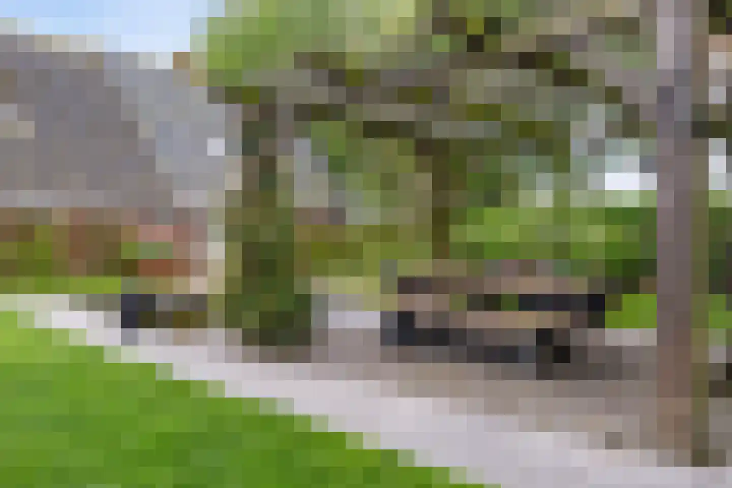 Aldlânsdyk 21 Jelsum thumbnail 19