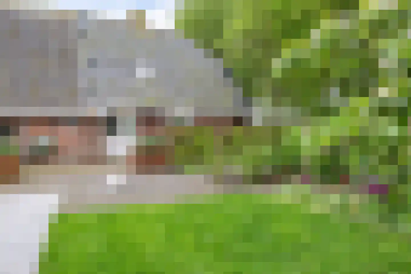 Aldlânsdyk 21 Jelsum thumbnail 23