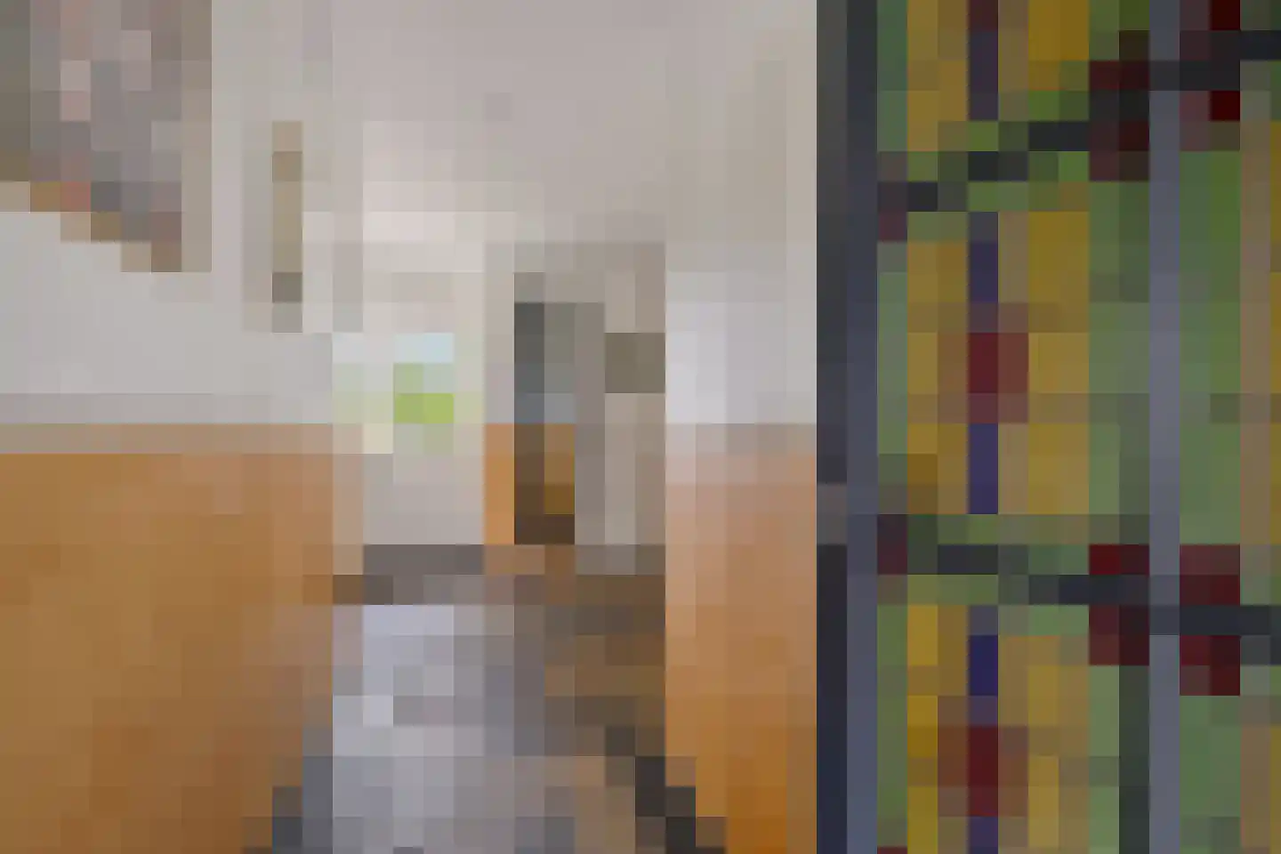 Aldlânsdyk 21 Jelsum thumbnail 24