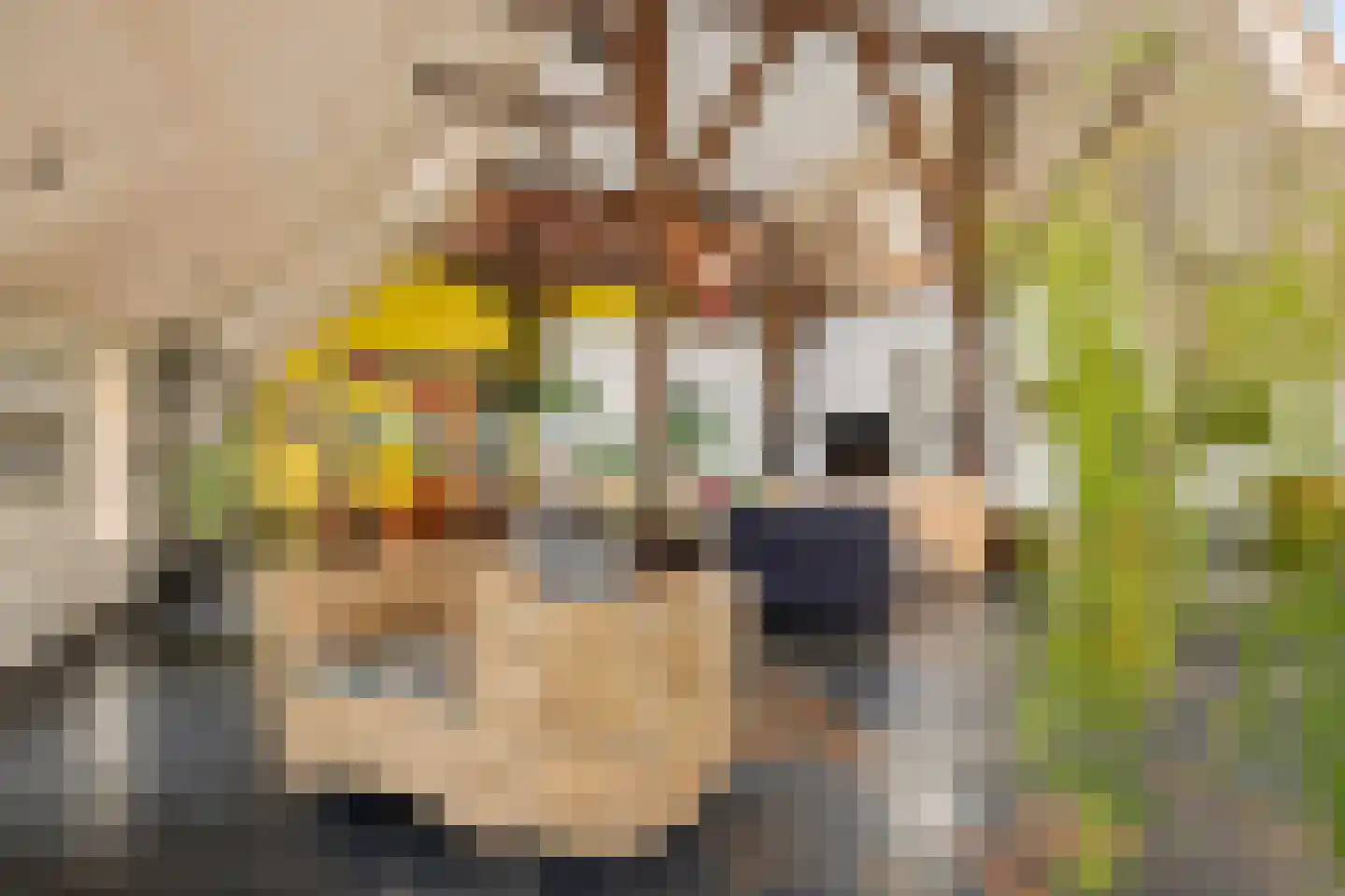 Aldlânsdyk 21 Jelsum thumbnail 29