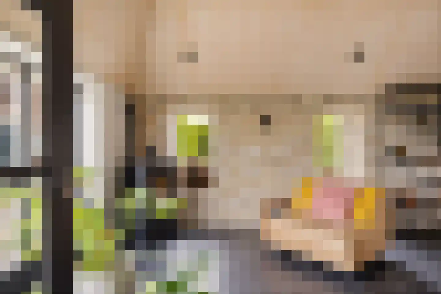 Aldlânsdyk 21 Jelsum thumbnail 30