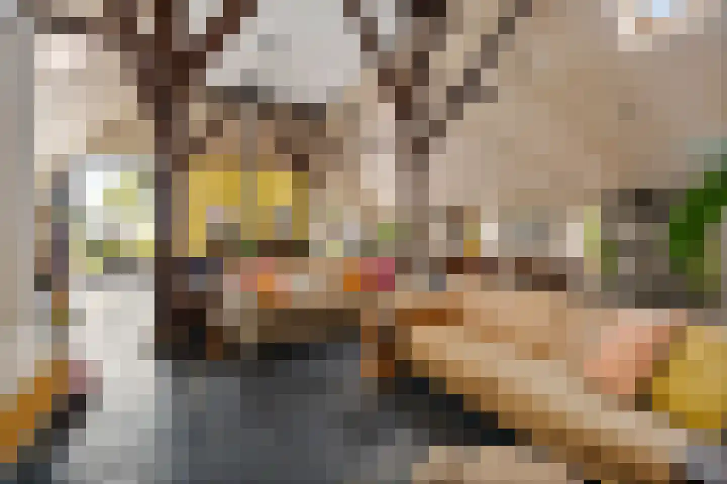 Aldlânsdyk 21 Jelsum thumbnail 33