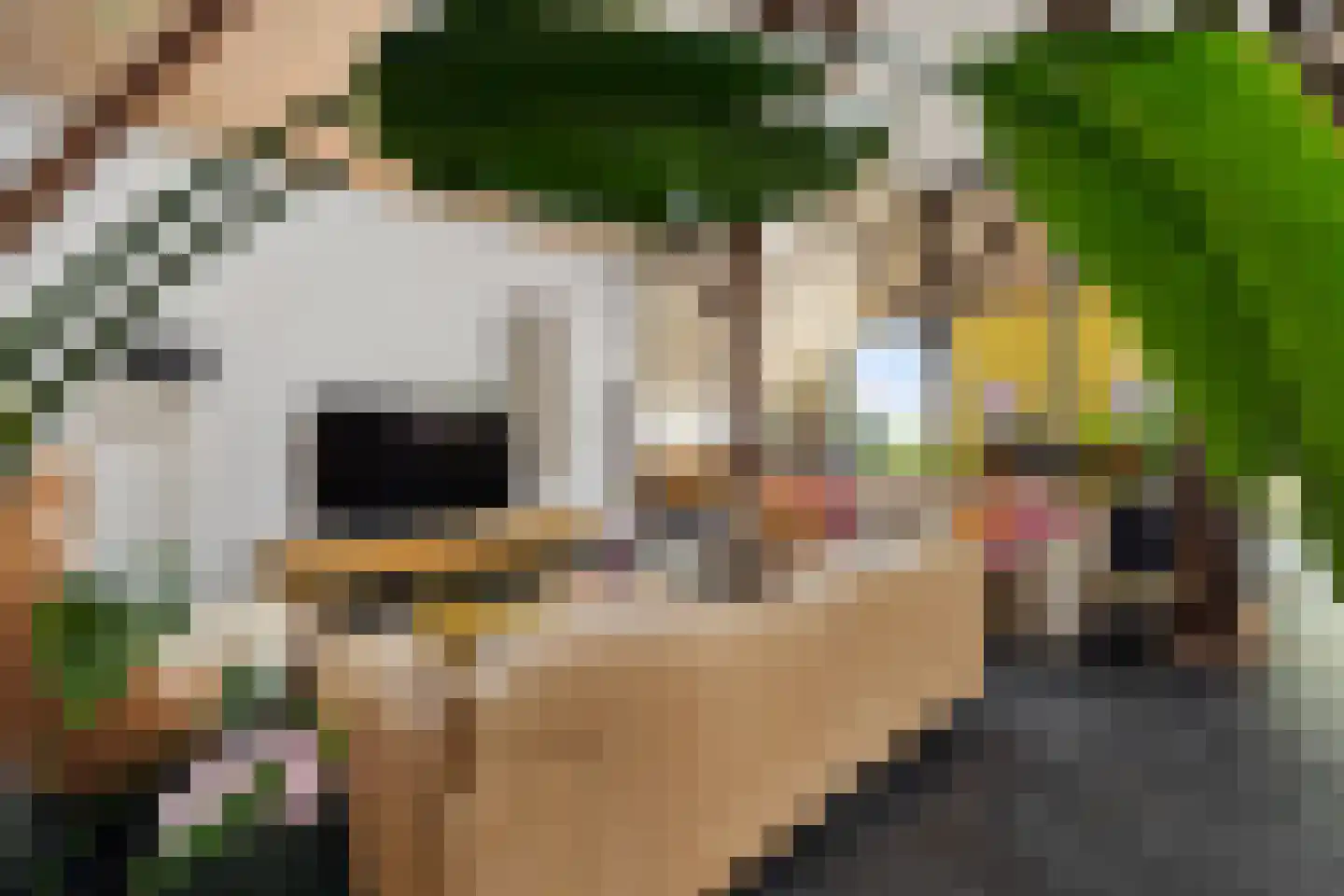 Aldlânsdyk 21 Jelsum thumbnail 34