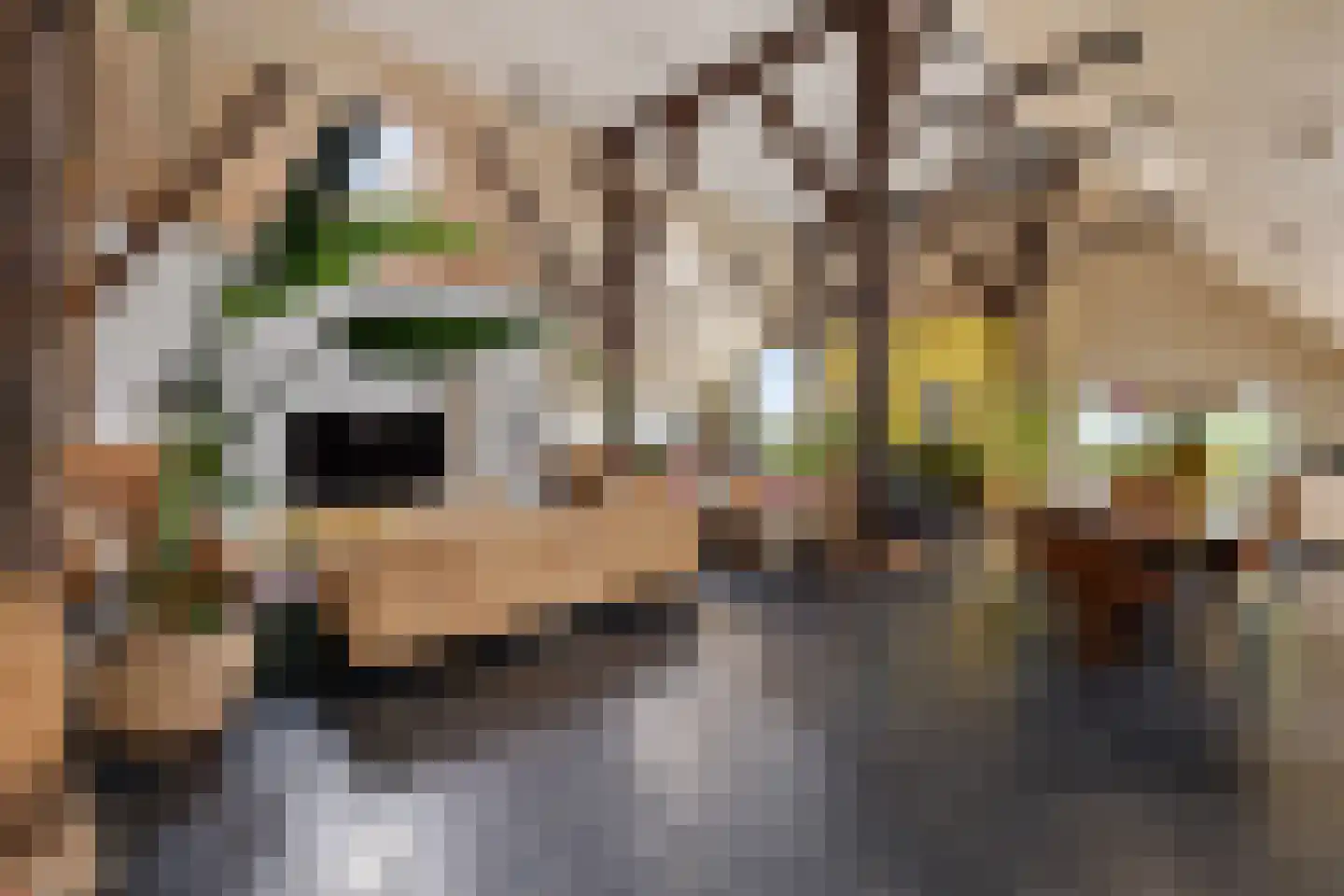 Aldlânsdyk 21 Jelsum thumbnail 35
