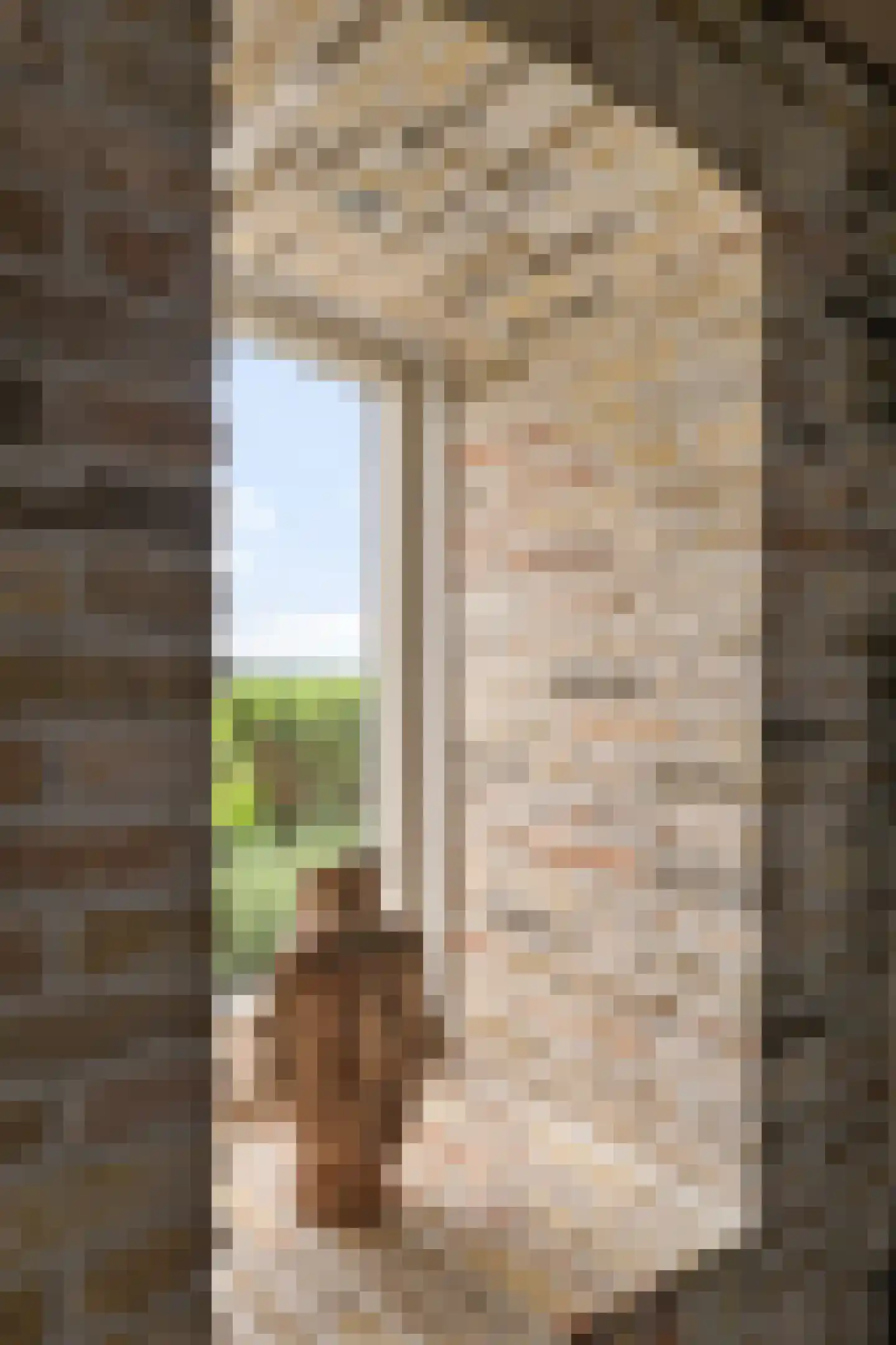 Aldlânsdyk 21 Jelsum thumbnail 36