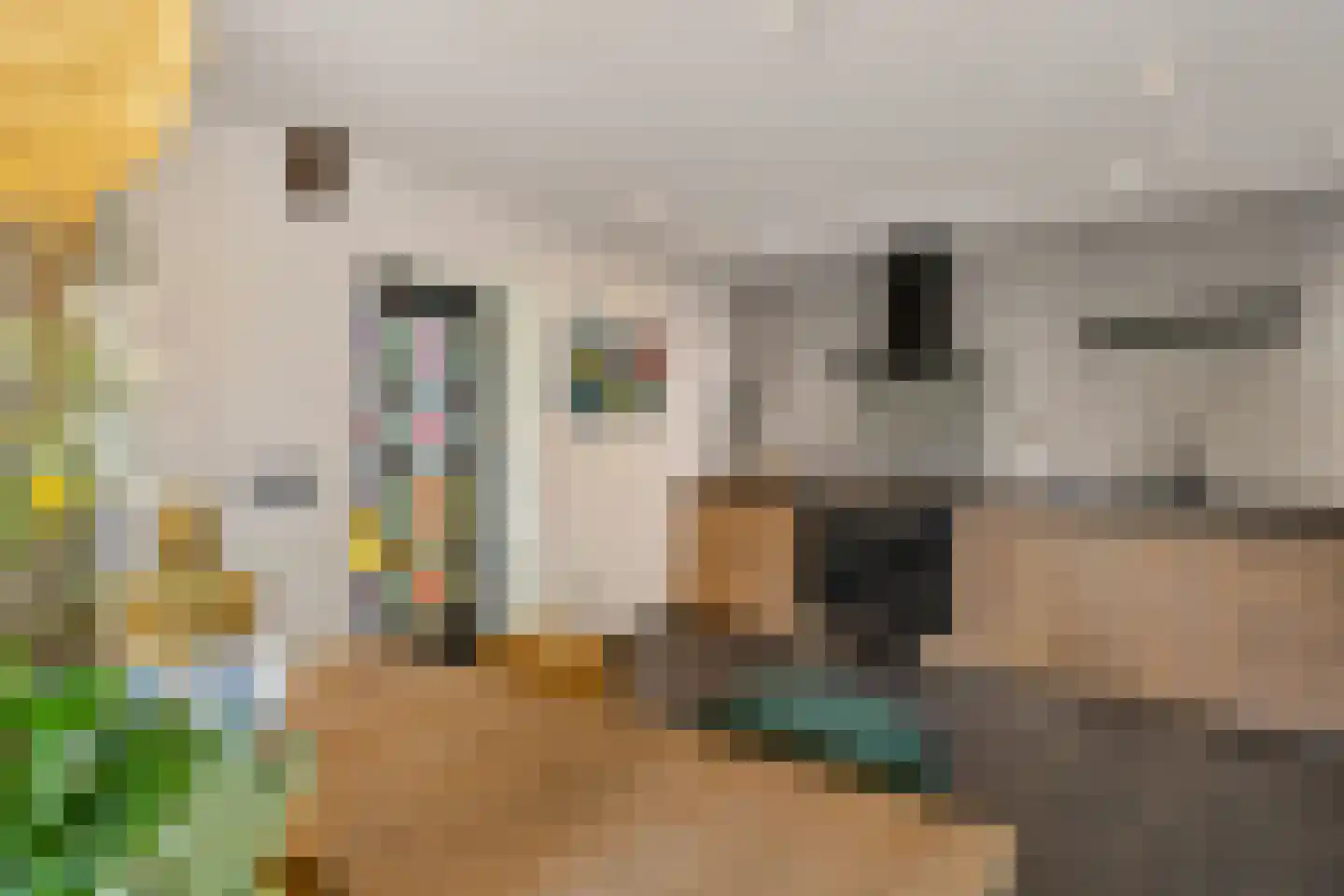 Aldlânsdyk 21 Jelsum thumbnail 38