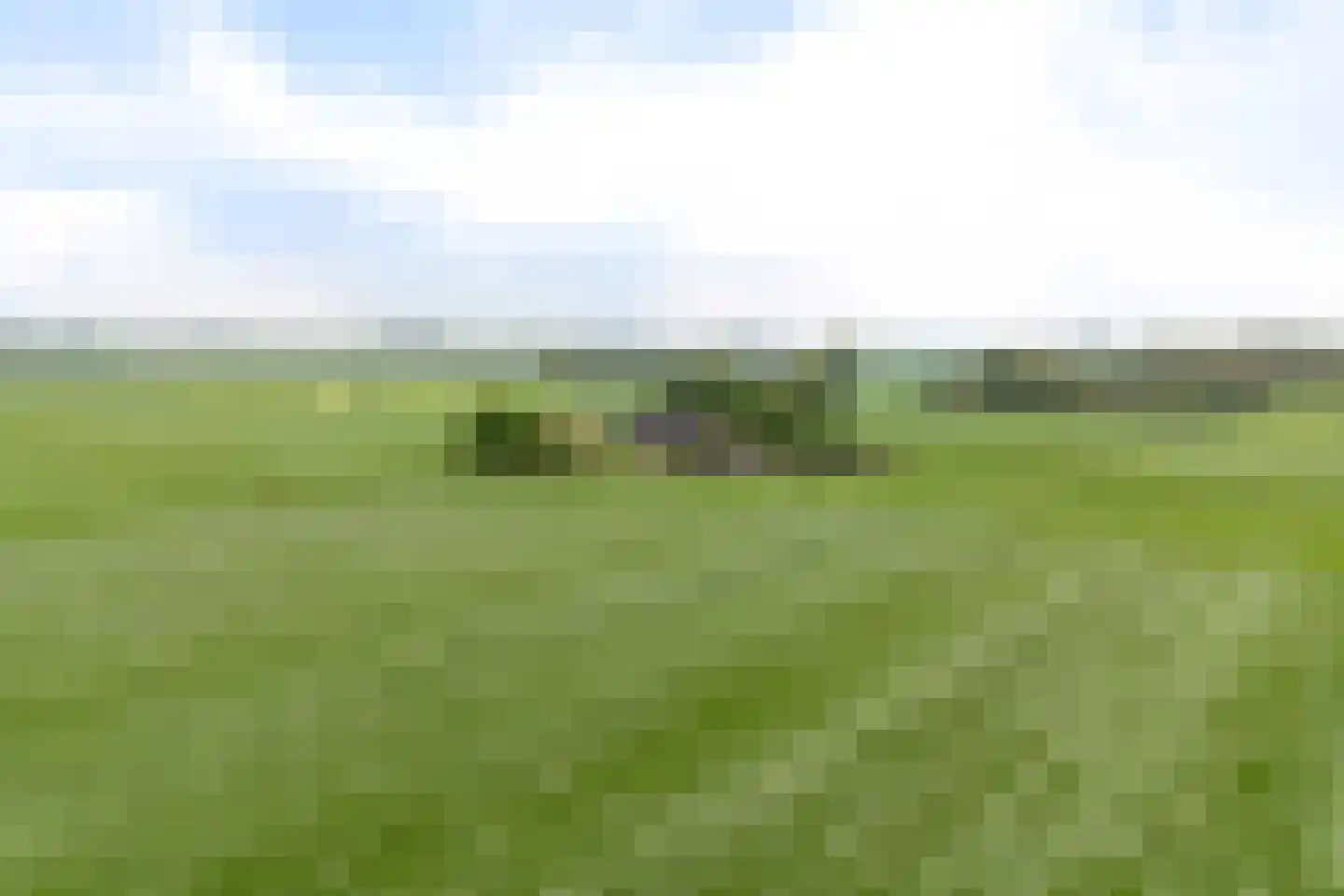 Aldlânsdyk 21 Jelsum thumbnail 4