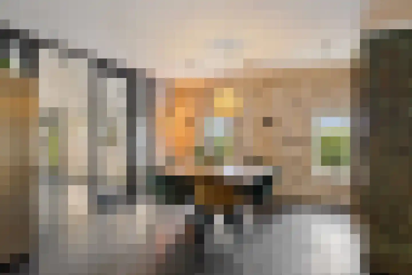 Aldlânsdyk 21 Jelsum thumbnail 40
