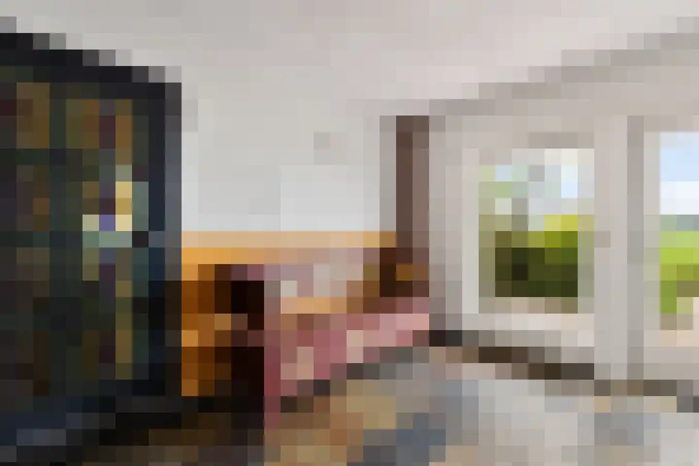 Aldlânsdyk 21 Jelsum thumbnail 42