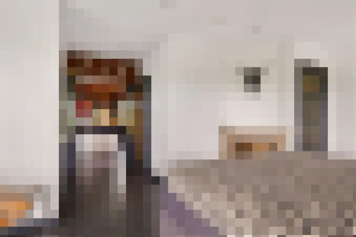 Aldlânsdyk 21 Jelsum thumbnail 44