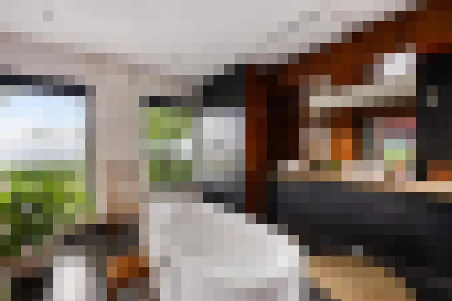 Aldlânsdyk 21 Jelsum thumbnail 45